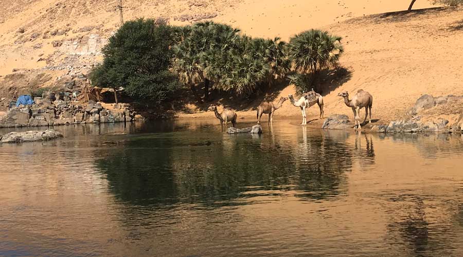 Ausflug nach Assuan und Abu Simbel von Hurghada